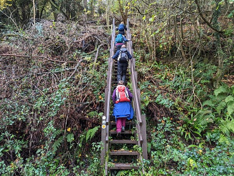 walking in the wye valley near symmonds yat