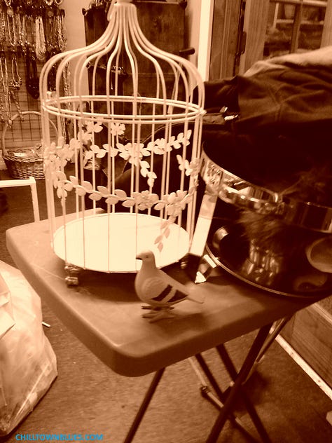 Picture 1: Slightly out of focus image of a pigeon figurine with (relative to pigeon's size) an old-fashioned merchant ship seemingly floating in the background. Picture 2: In a dimly light room, the shadow of a picture on a ledge or ledge-like bar is pictured on a wall. CHILLTOWNBLUES.COM is in turquoise blue on bottom left of image. Picture 3: A nighttime photo by Chilltown Blues of a statue (by sculptor Alvin Pettit) of civil rights activist and educator Mary McCleod Bethune on redlined south side of Jersey City. Just behind the nine-foot bronze tall statue is a small park named for her. Since the photo is taken through glass, tricks of the light make it appear as if there's little floating orbs of light all around everything. The whole thing looks bluesy, partially because sky has deep blue tint.. Picture 4: What looks like the bust of a gray pigeon looks out of a window at an urban landscape: there's the rear of a black car almost parked by the crosswalk but not quite. And across the street hung just below streetlight fixtures are, respectively, one large glowing white snowflake ornament; and about 40 feet behind it, another one across the street. CHILLTOWNBLUES.COM is written in a bright blue on the bottom right of image. Picture 5: A sepia-toned black and white image of a table with a pigeon figurine in front of a large empty birdcage. Picture 6: Picture of an old=fashioned light fixture with three curved hooks that support bulbs underneath little red lampshades. They come from a fixture that has two hooks on each side of it as well. Nestled in the center hook is a pigeon figurine. The color of the wall behind it is orange and the light from the three bulbs has a bird-like silhouette. In the bottom left corner in black is "chilltownblues.com." Picture 7: Pictured taken in a dark room of (from foreground going outward) a pigeon silhouette, mid-left, the silhouette of a bigger ship miniature on the right and then outside of large windows many lights from a big parking lot. Picture 8: Photograph of a pigeon's silhouette on the bottom left, foreground, taking about a fifth of a nighttime photo of trees with mostly yellow leaves in the background swirling toward a bright white street light. On the right side, there's a post with a series of blight lights mid-ground in the photo. Picture 9: The ChilltownBlues.com pigeon is standing in the midst of a jigsaw puzzle that's mostly done. To the left of it, from the viewer's perspective, is a kind of watermelon pie, where the eyes are half-kiwis, an orange wedge for a noise and a dark string of berries for a smile. All around the smile and the pigeon are the other puzzle pieces of which it's unclear what the rest make out, though it's mostly fruit.