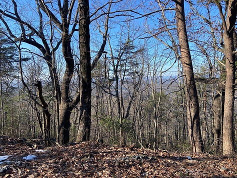 Stunning views from the top of Mt. Currahee