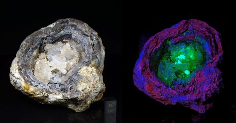 gem opals from around the world.  Some set in jewelry, others are pebble sized rocks.