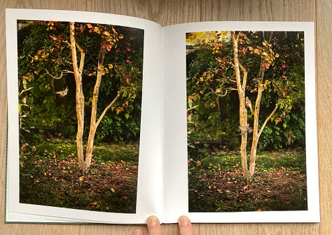 人気ショップ The magical Helmert Susanne by - Weifenbach Terri of world 洋書
