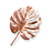 Catalectic