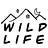 Wild Life with Amy Jay
