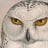 It's Owl Good