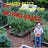 Beyond Basics: The Garden Basics with Farmer Fred Newsletter