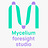 Mycelium Foresight Studio Conversations