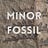 Minor Fossil