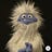 User's avatar
