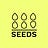 The 6 Seeds Sustenance