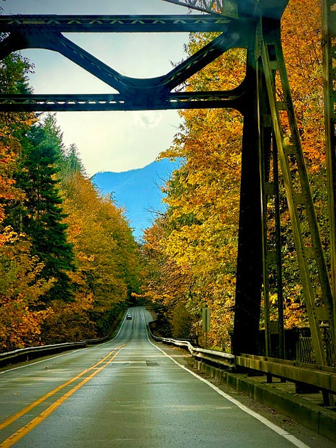 May be an image of road and suspension bridge