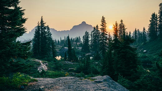 Frequently Asked Questions  Deforestation Regulation