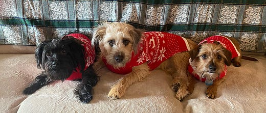 The Positive Pen | John Rinaldo | Substack