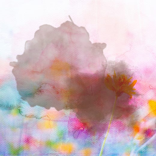 Segments with Maria Giesbrecht | Substack