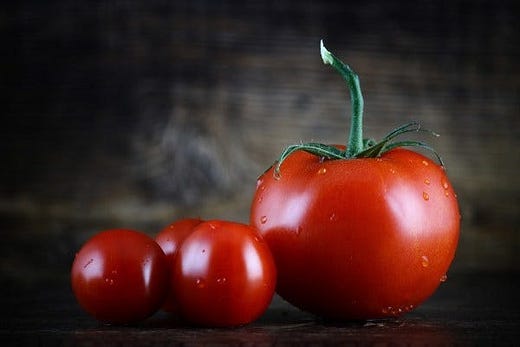 The Tomato and the Supreme Court by Daniel Ganninger