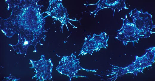 Progress in Cancer Immunotherapy Research
