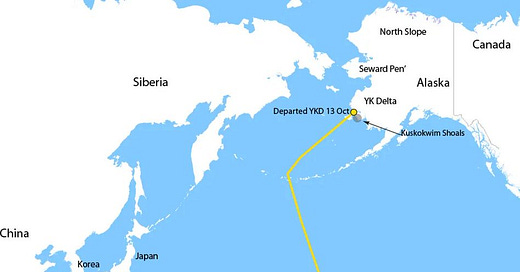 Bar-tailed Godwit sets long-distance flight record