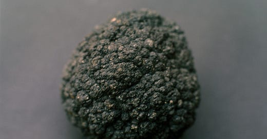 The Egg And The Rock | Julian Gough | Substack
