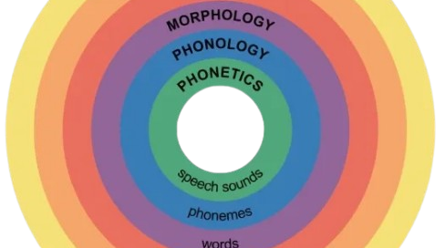 Linguistics visual data 8