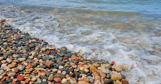 Shoes for rocky beach store