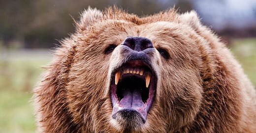 The Borowitz Report Andy Borowitz Substack