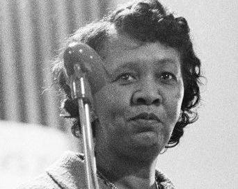 Meet Annie Lee Cooper - by Daniel Henderson