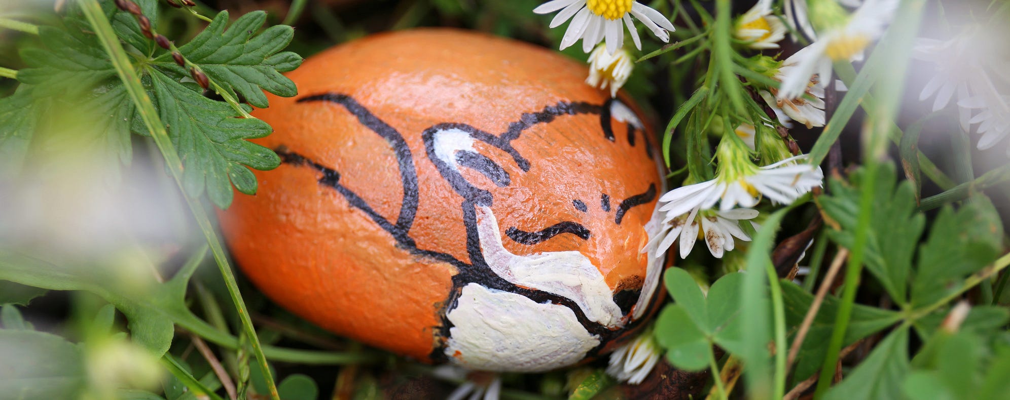rock painted as sleeping fox in wildflowers