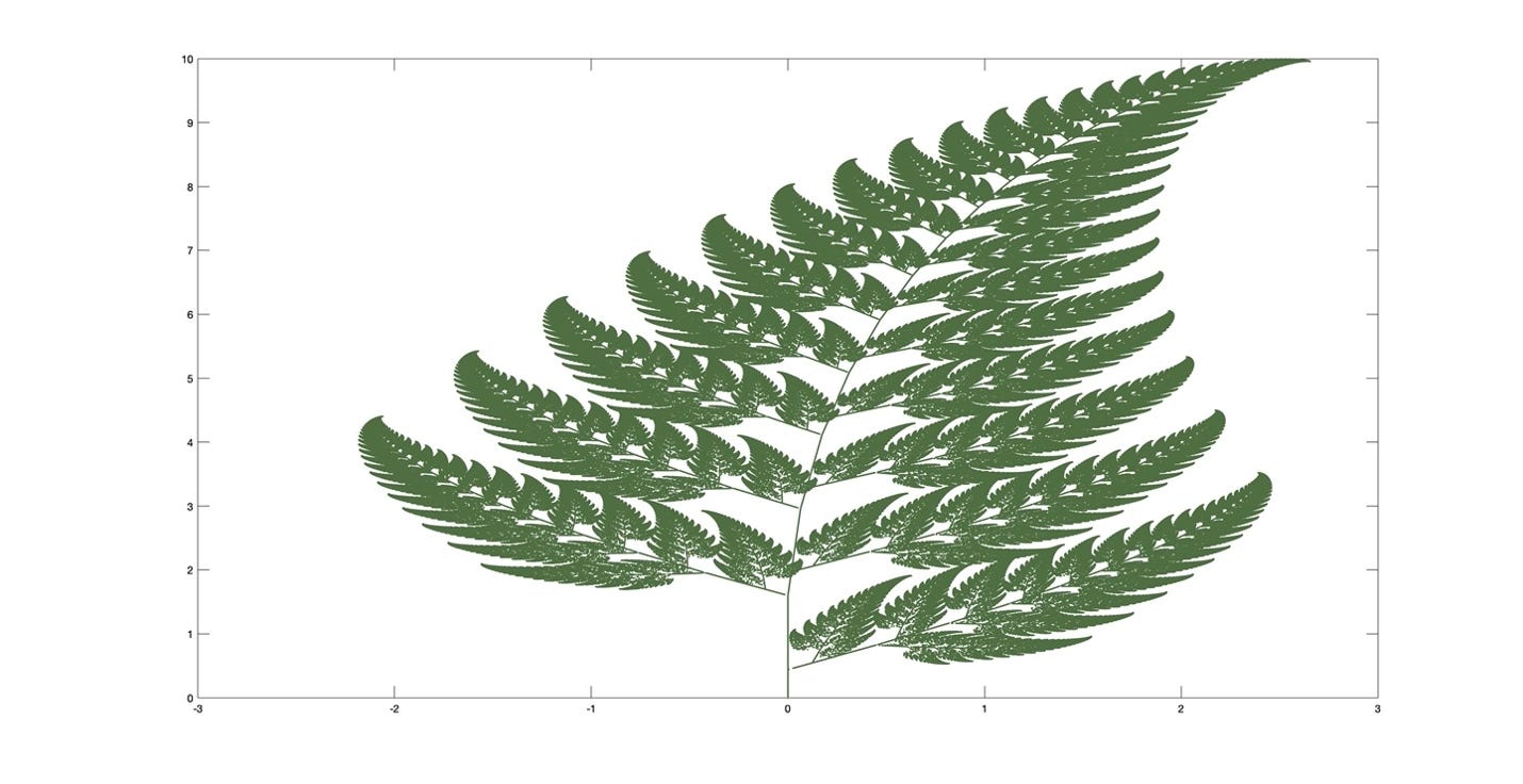 A picture containing text, leaf, fern, plant

Description automatically generated
