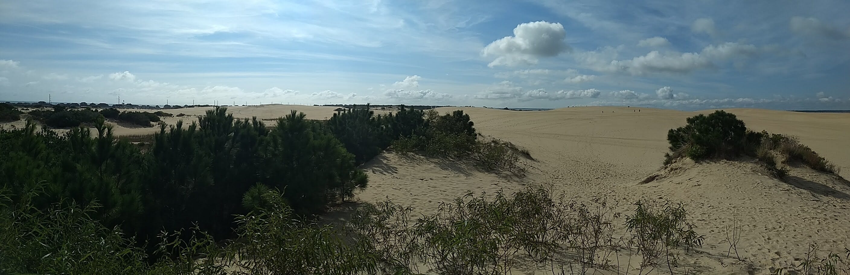 A panoramic photo of dunes at Jockey Ridge State Park.
