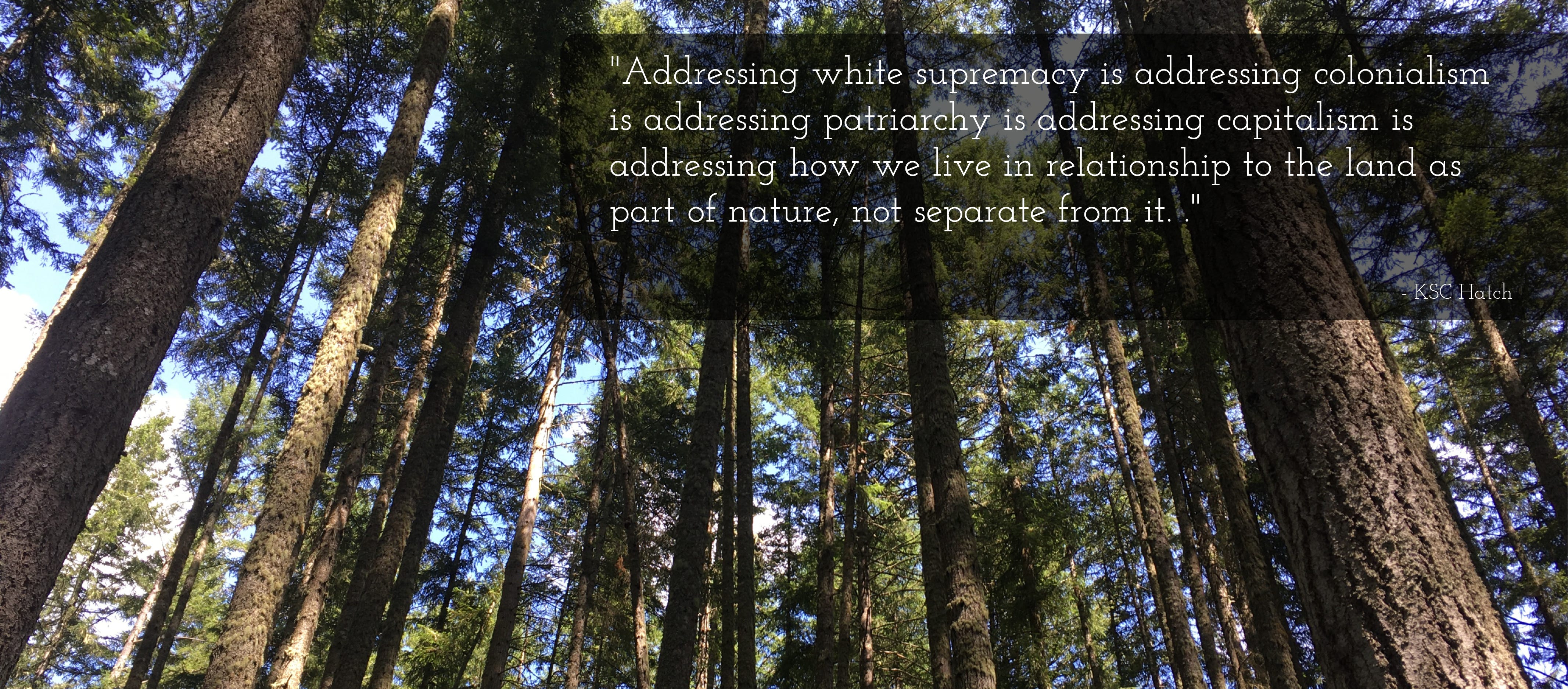 Photo of a forest of tall coniferous trees with little bits of blue sky peeking through. A quote from the accompanying blog post is in white text in the upper right corner of the image. The quote reads: "Addressing white supremact is addressing colonialism is addressing patriarchy is addressing capitalism is addressing how we live in relationship to the land as part of nature, not separate from it."