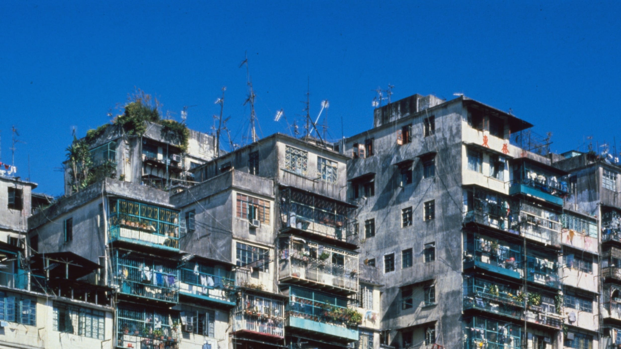 Image of Kowloon Walled City, filthy human hive