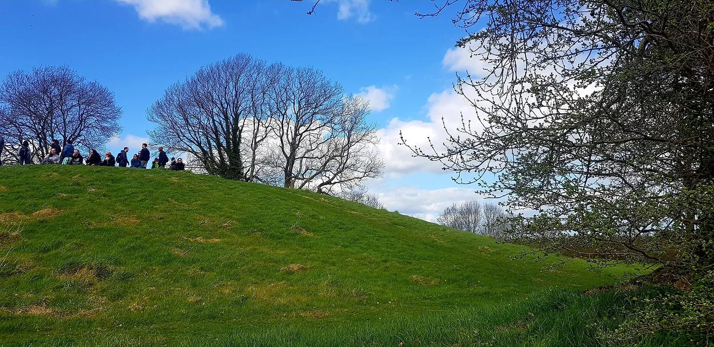 A section of Mound 2, surrounded by trees, with a group of people standing on top of it.