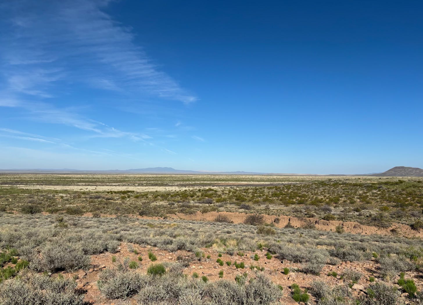 desert landscape with low bushes blue sky and mountains in distance