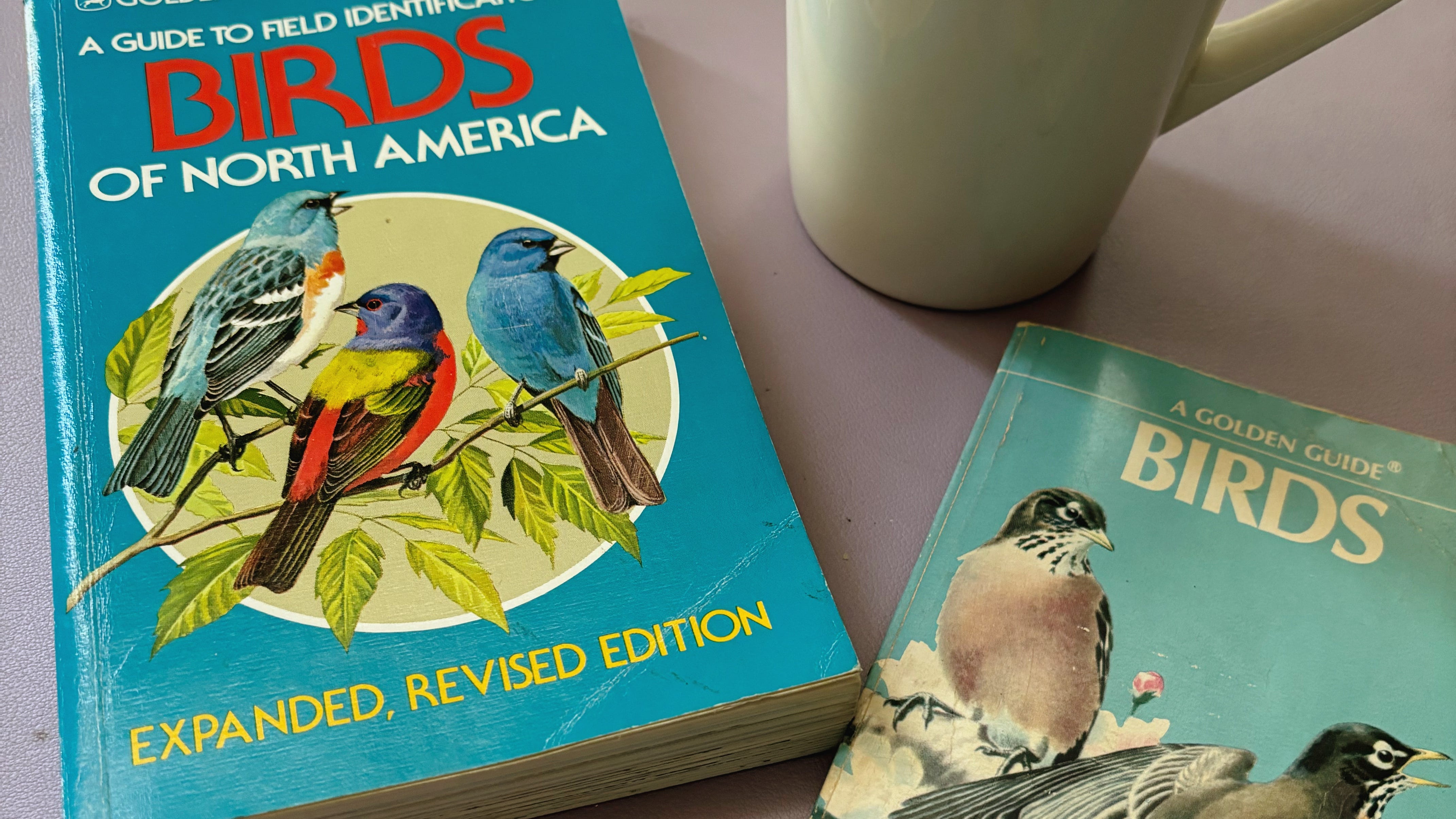 Two golden guide books about birds