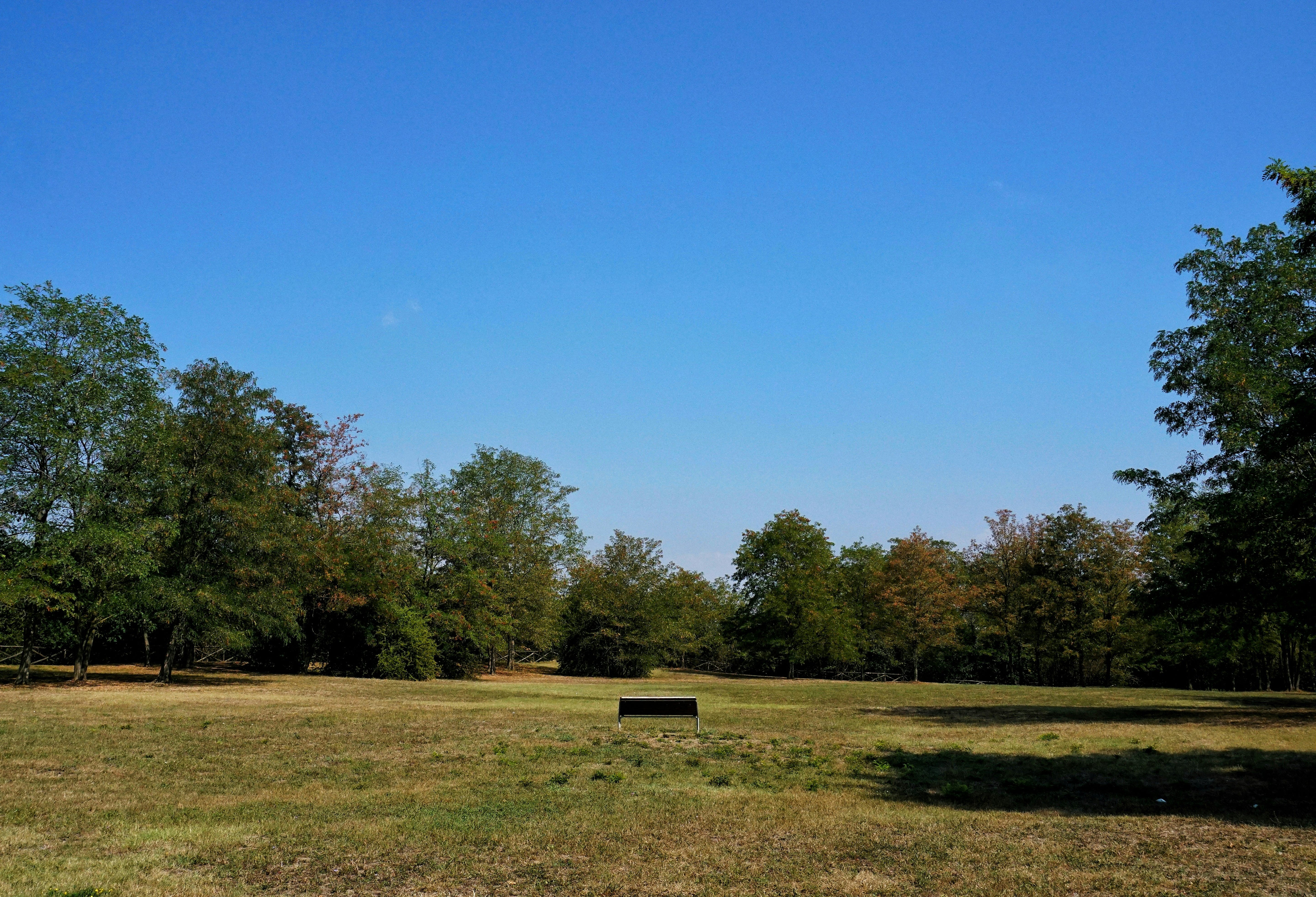 A bench sits on a patch of wide open grass, as if in a park or woods. The grass is a mix of greens and light browns which suggest it is late summer. There are green trees, full of leaves on the edges of the image. The sky is a bright and radiant blue. The writer is trying to convey the idea of a place you can work, this is out in the open