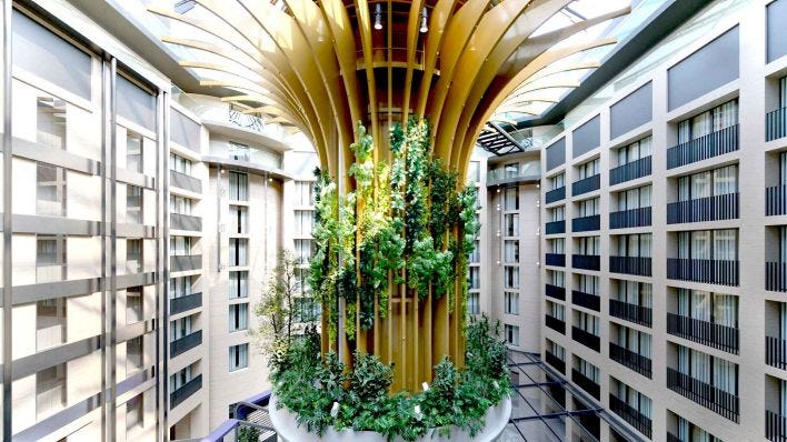 Berlin-Mitte: Vertikaler Garten ersetzt Aquadom in Hotellobby | rbb24