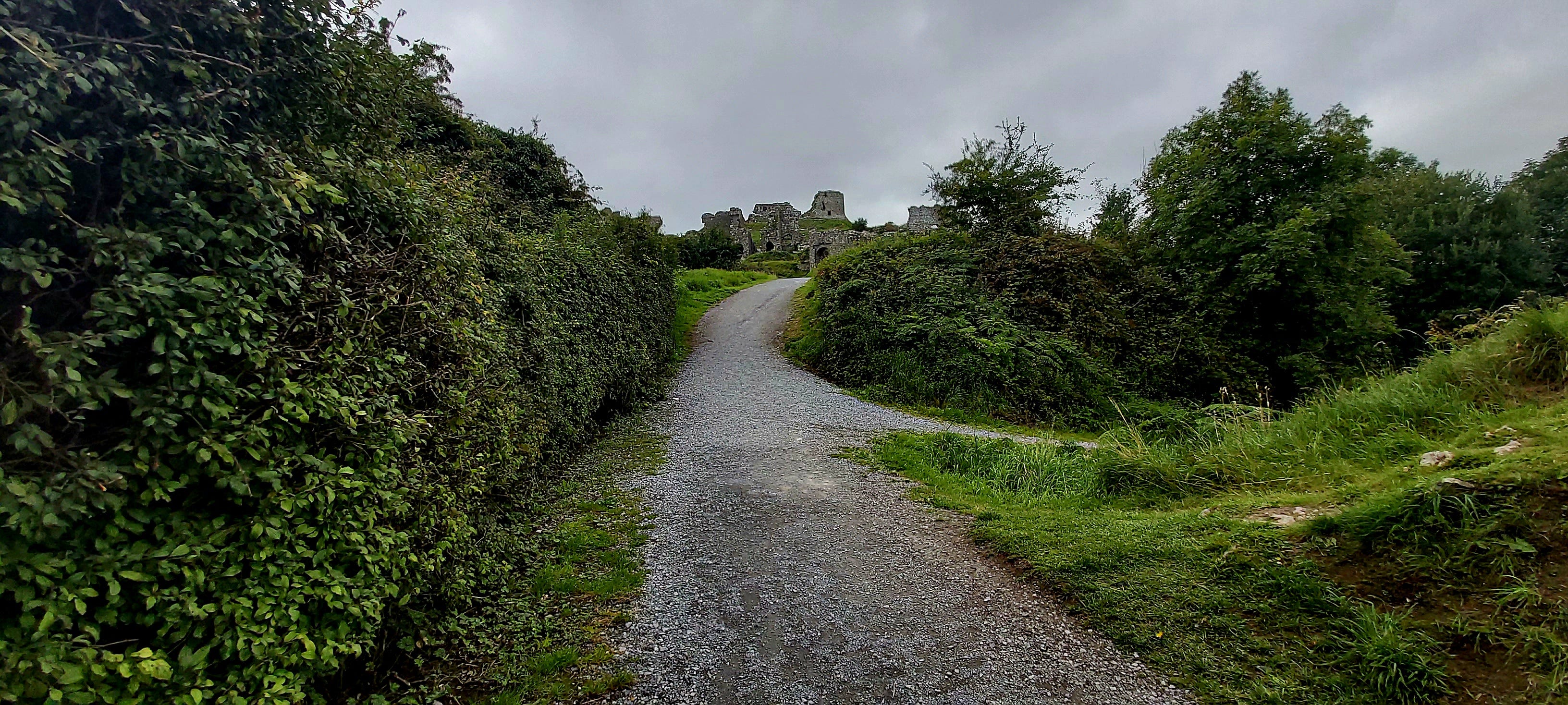 The overgrown road which leads to Dunamase Castle, which perches on the distant horizon against a grey cloudy sky.