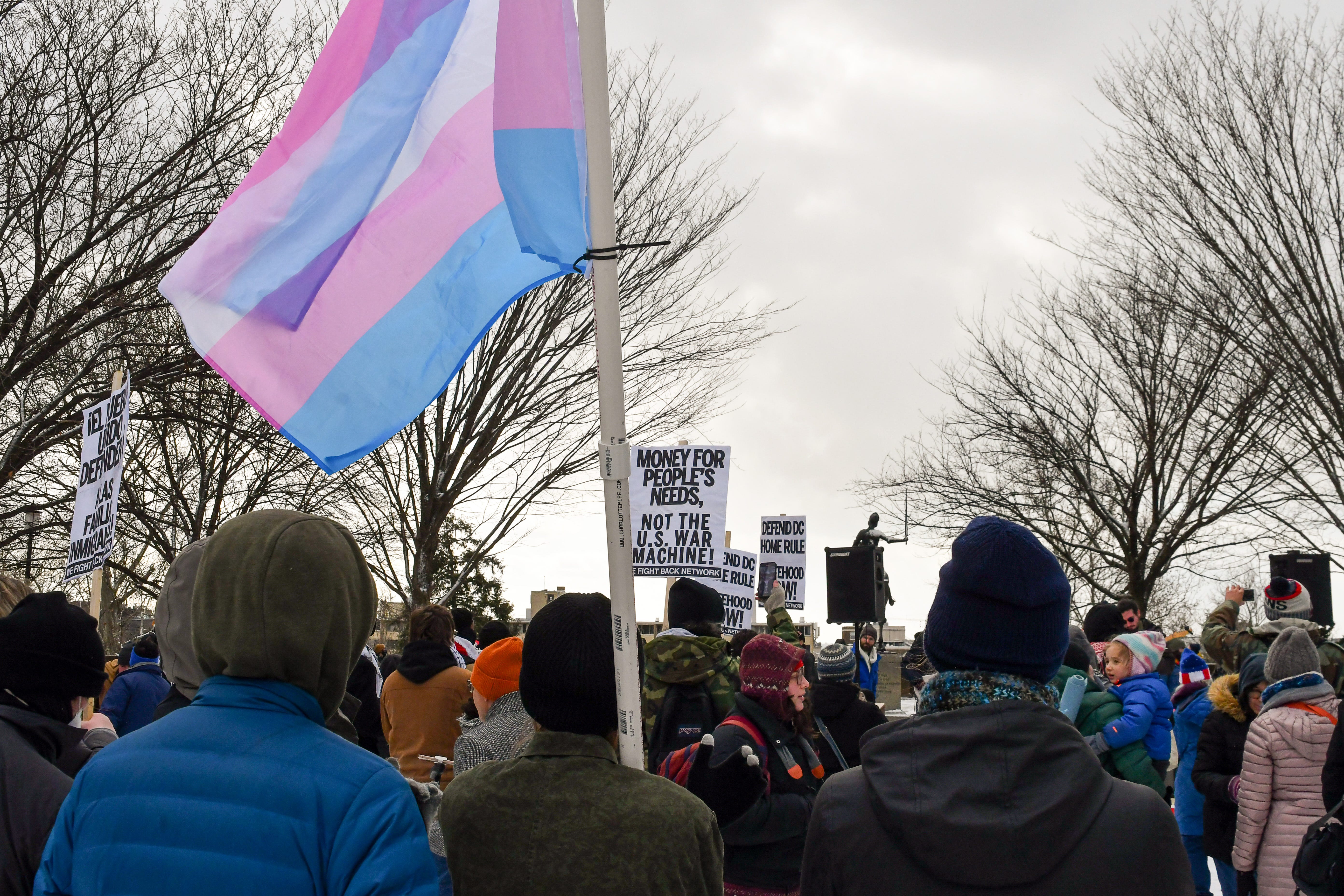 A protestor holds a large trans flag at a protest at a park taking place during Trump's inauguration day.