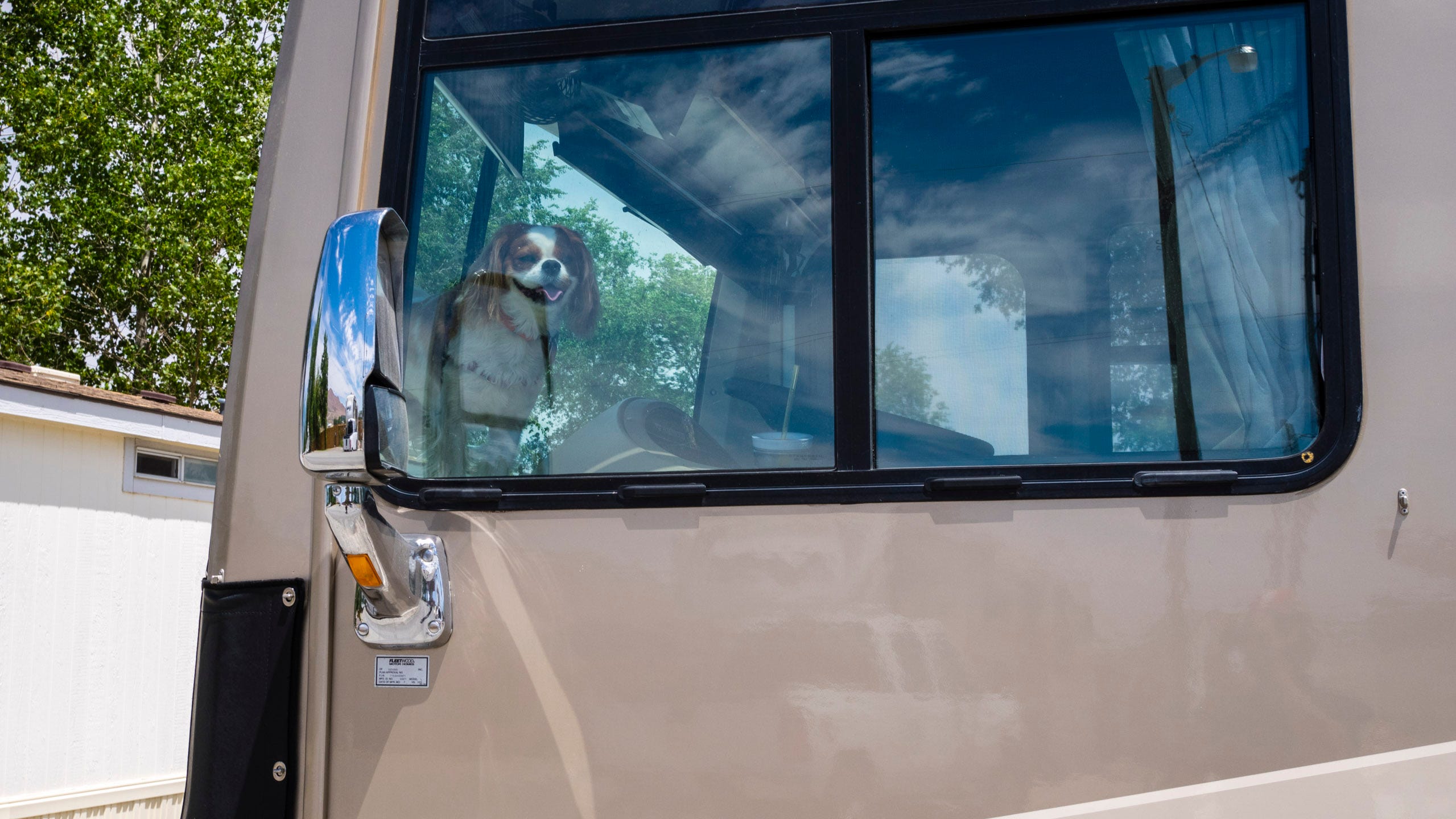 Photo of the front drivers side of a large RV. The front of the RV is nearly vertical, like a bus, and there is no driver's side door. The RV is sand colored and there is a large chrome rear view mirror. Inside the RV, part of the driver's seat, steering wheel, and dashboard can be seen through a flat glass sliding window. Standing upon the dashboard inside the RV is a small dog, white with brown patches and with long floppy ears. The dog is looking outward towards the camera. His mouth is partially open, resembling a wan smile.