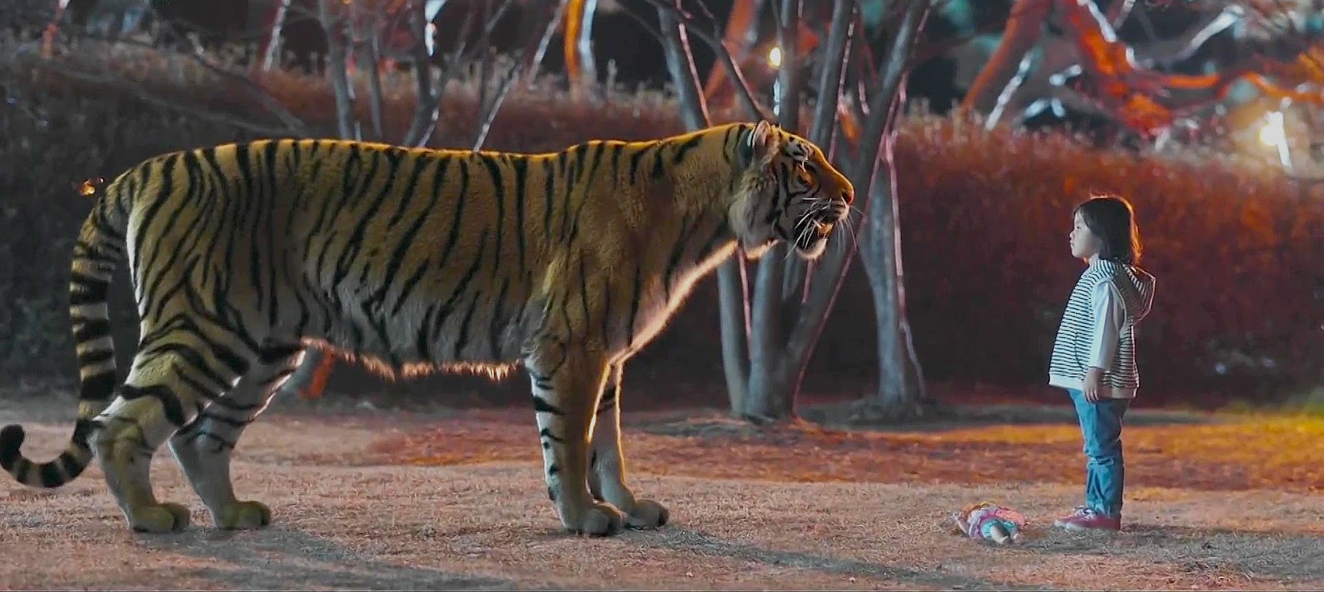 A young girl faces down an Amur tiger in a public park at night