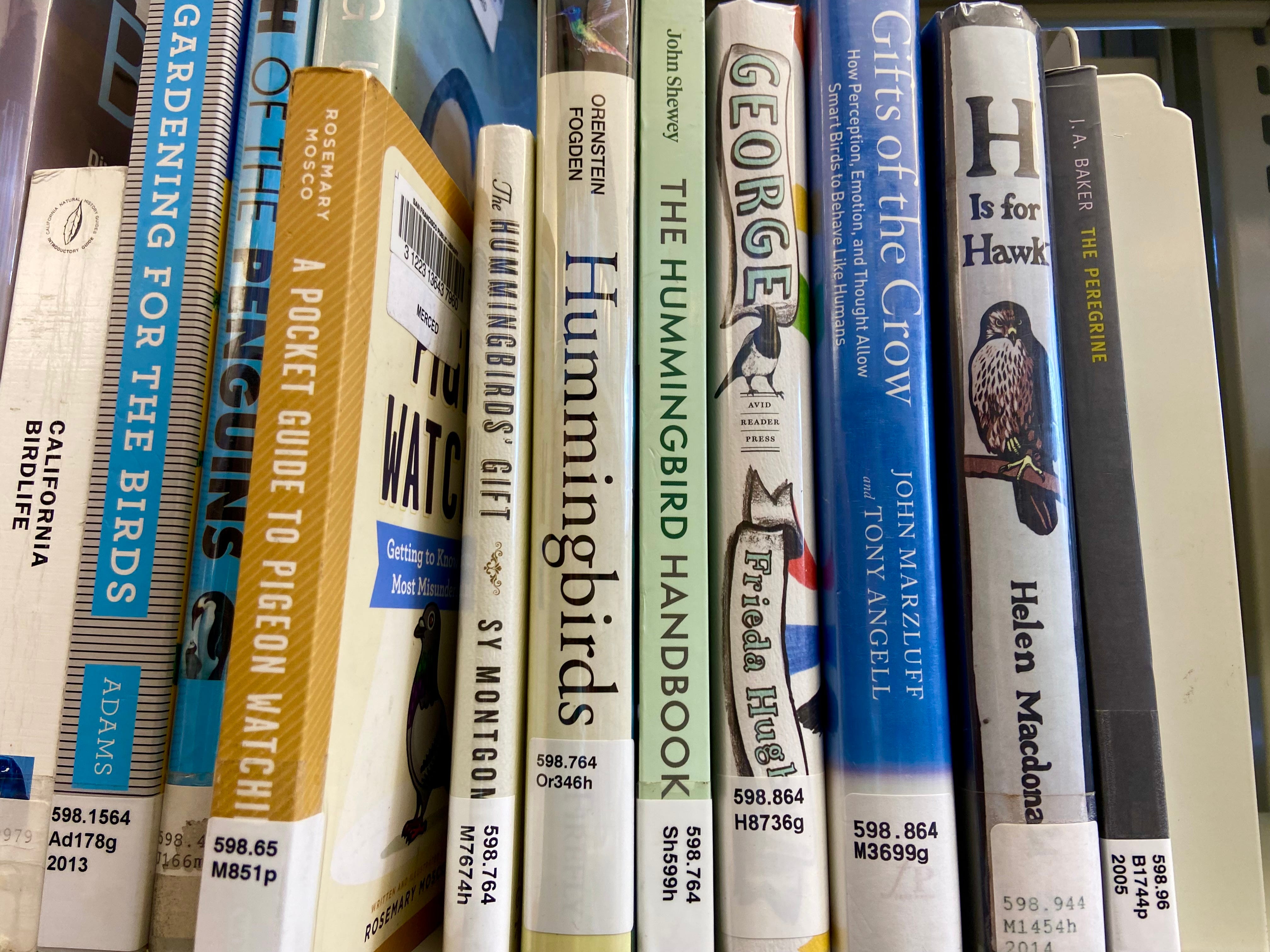 Books on the shelf at the library; pigeon book