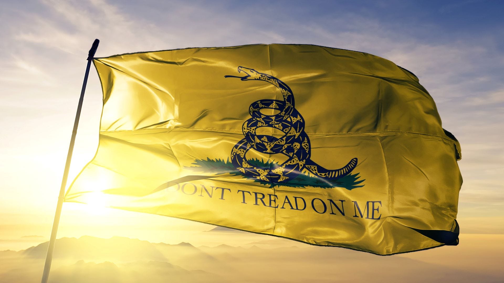 The Gadsden flag: a historic symbol rooted in classical liberalism | Learn  Liberty