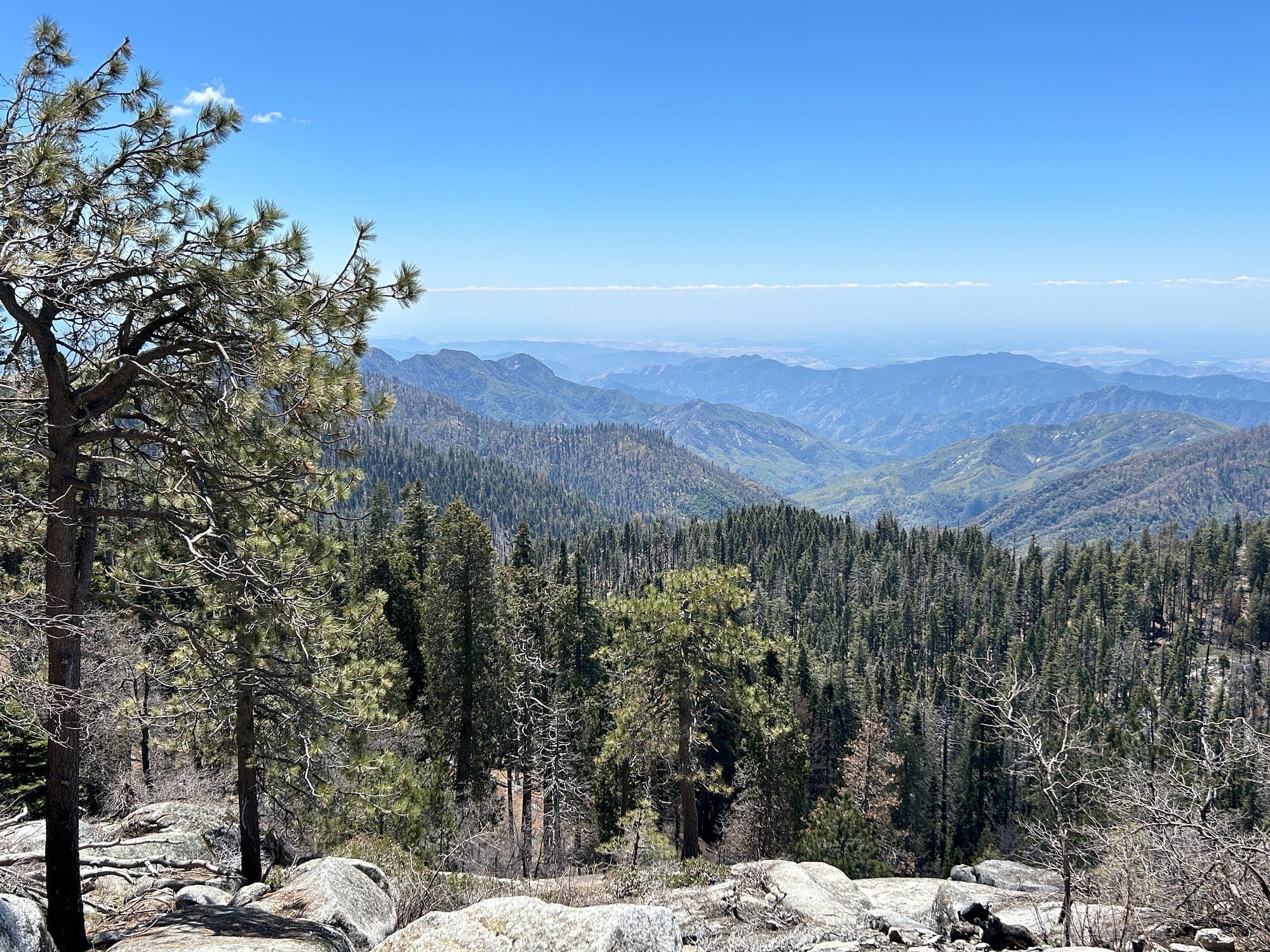 Visiting Sequoia National Park