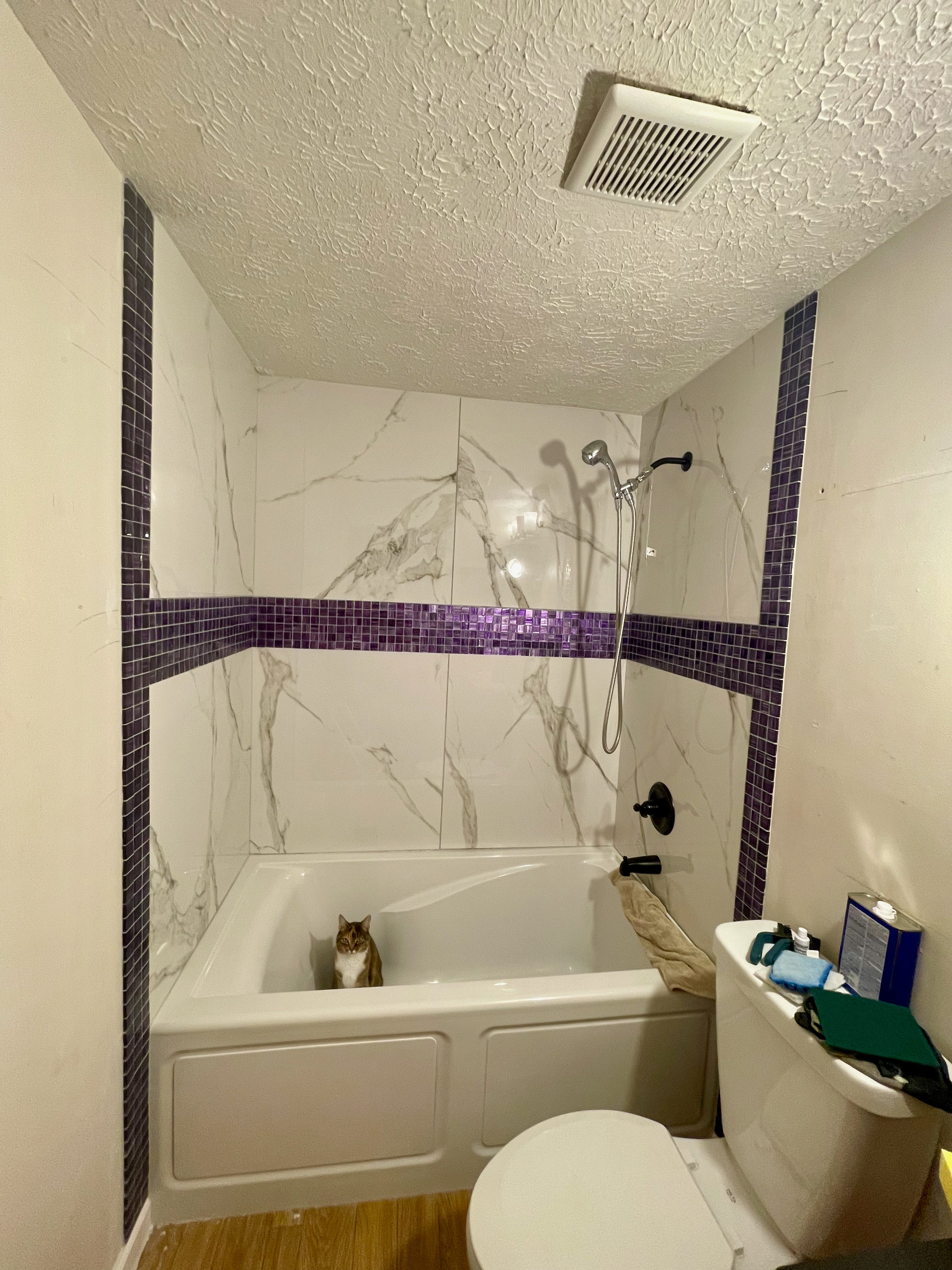 A photo of my new bathtub and shower. The tub is white and square-ish shaped, with large white and grey marble effect tiling on the walls. In the centre of the wall there is a strip of smaller purple shimmery tiling that end in vertical strips at the edges of the tub. The taps are black and Callie sits in the tub looking out from her new hideout.