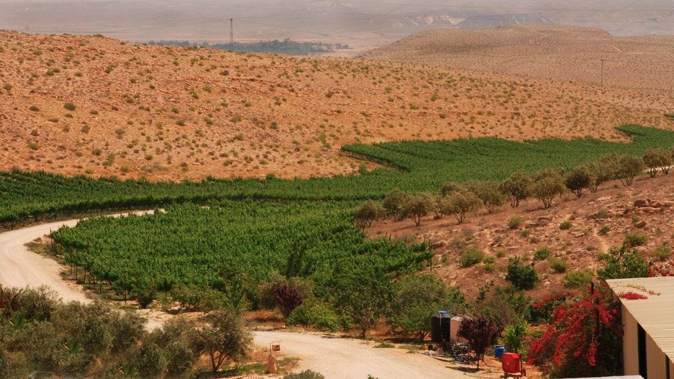The Carmey Avdat Winery is a family-run, ecological farm that cultivates grapes using ancient irrigation terraces. (Carmey Avdat)
