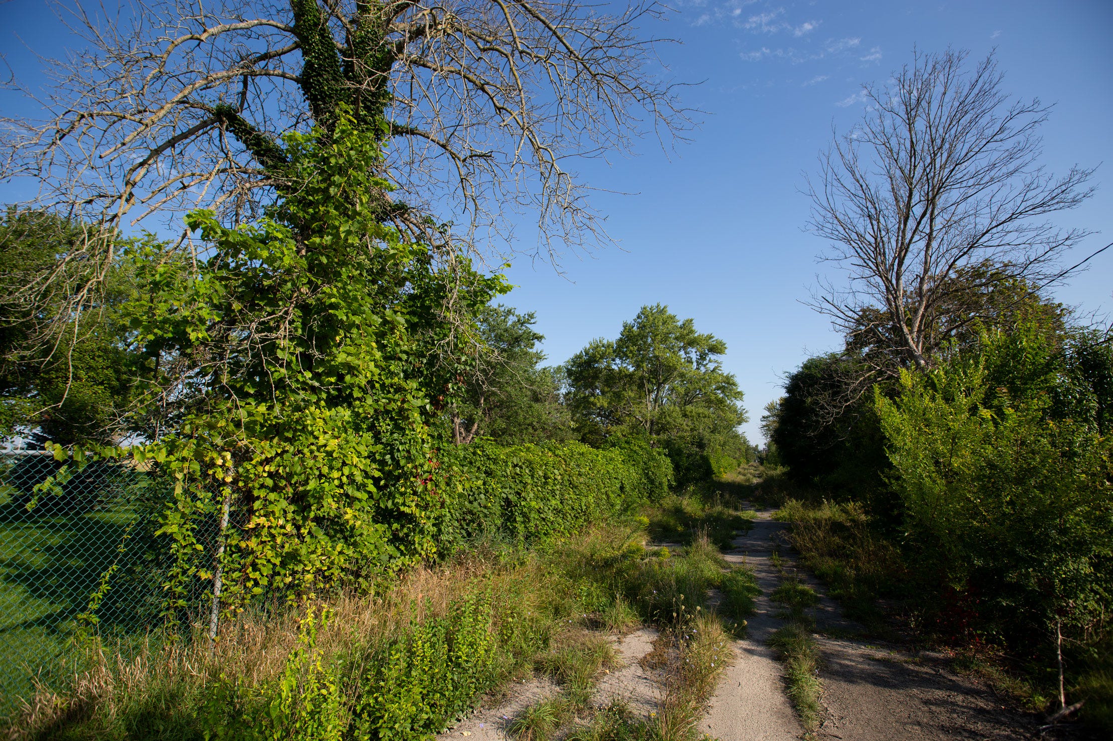 The Love Canal neighborhood as it looked in September 2023. Photo by Eric F. Coppolino / Chiron Return
