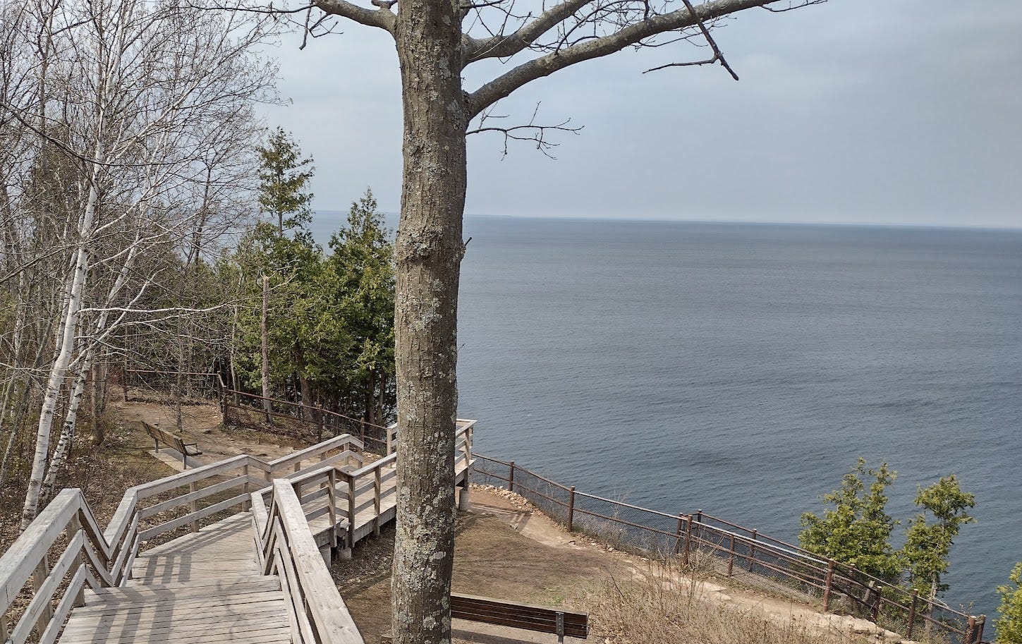 View across calm sea with tree and wooden steps