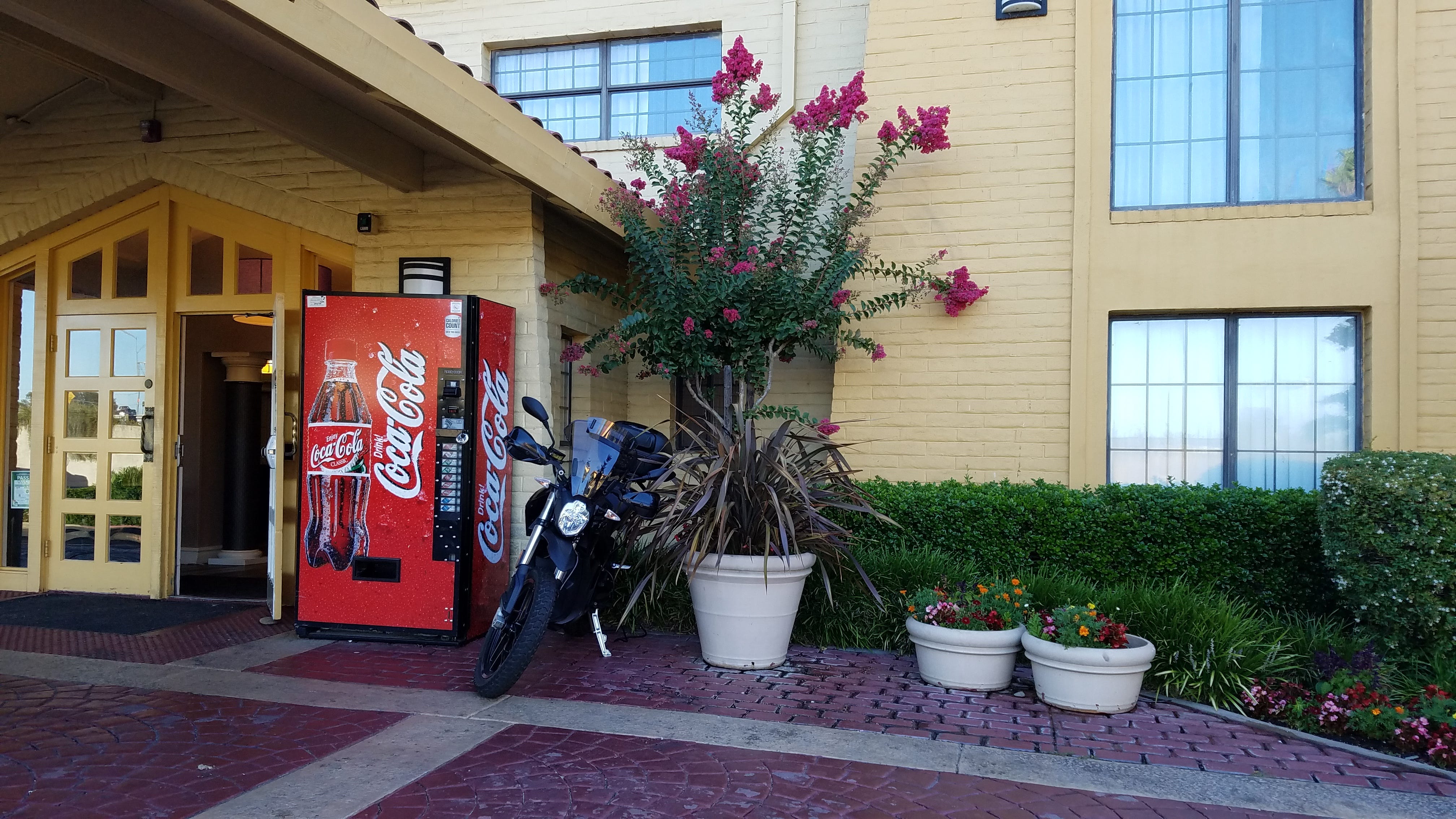 Zero DSR sits parked outside a yellow, brick hotel entrance, between the red Coca Cola soda machine and a giant planter overflowing with long blade-like leaves and a tall, flowering plant with pink flowers. An extension cord snakes from the motorcycle to the outlet where the soda machine is plugged in.