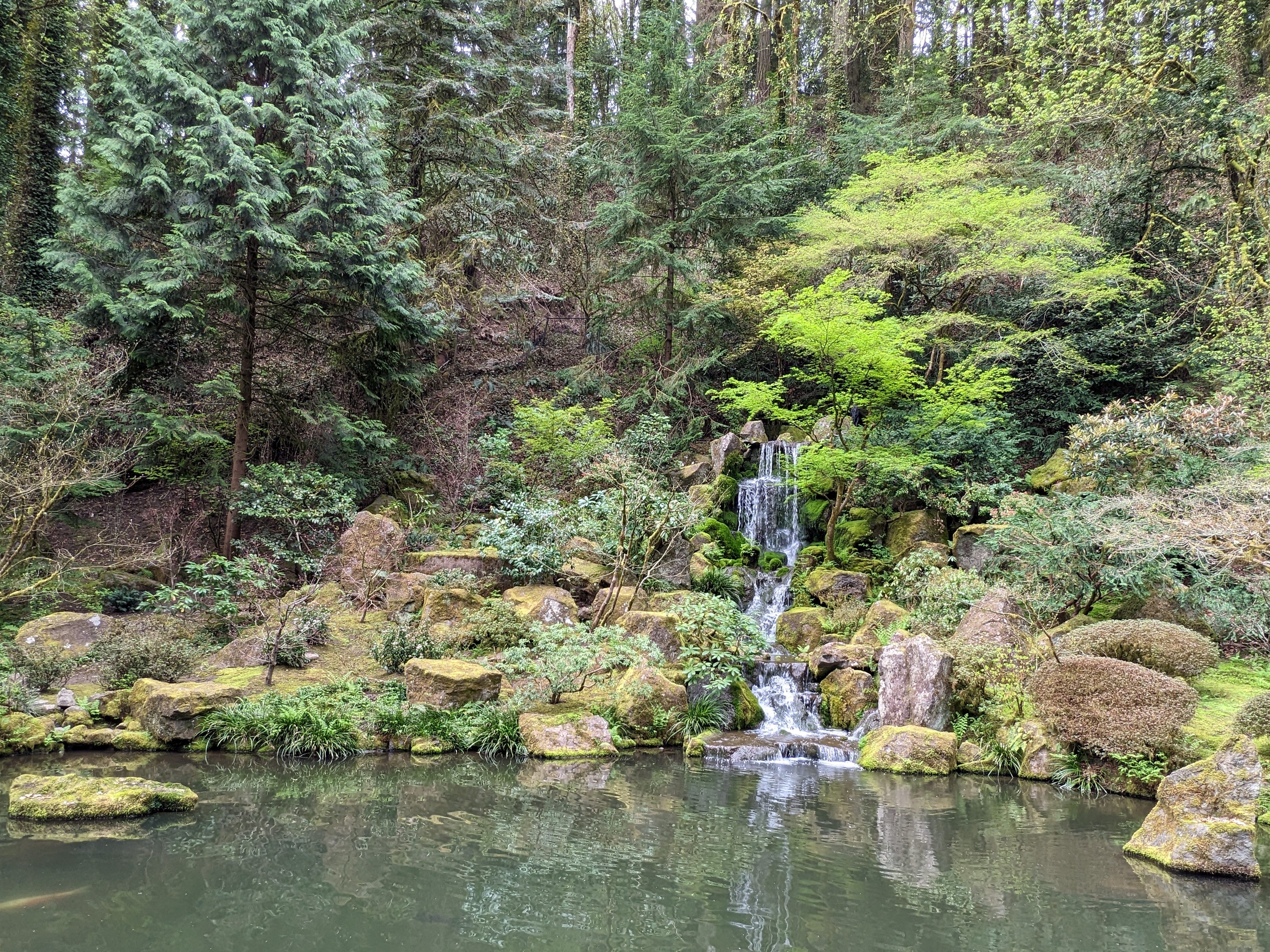 a pond nestled next to a hill covered in evergreen trees, with a small waterfall flowing into the pond