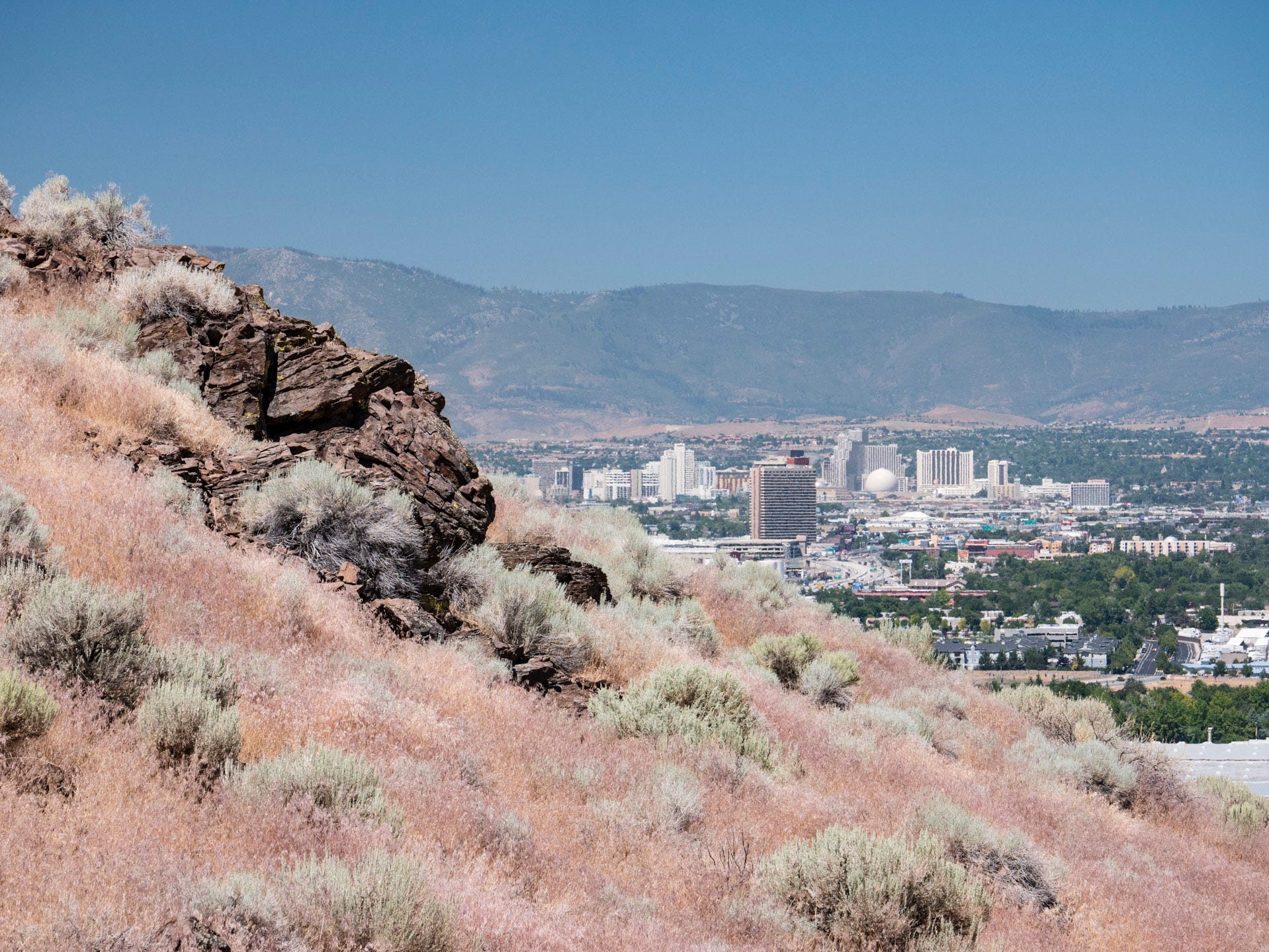 Photo of Reno, Nevada sitting in a valley. In the hazy distance is a tall mountain range with patches of trees on its flanks. Reno sits in the valley in front of the mountain range, a mix of green trees surrounding a downtown of tall buildings, mostly white. A spherical structure can be seen beside a tall hotel casino. In the foreground occupying the lower left of the frame are the green and pink grasses of a nearby hillside along with a brown rocky outcropping. Part of Reno is obscured by the hillside in the foreground.