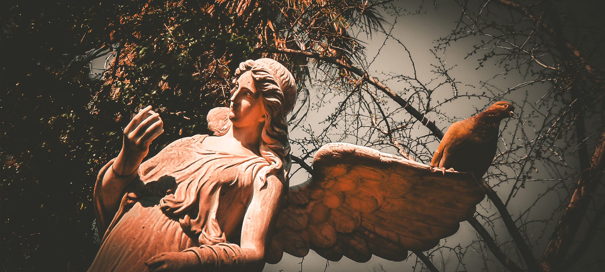 An angel statue with a pigeon sitting on it.
